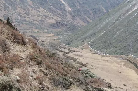 Descente du Thonle La  - Bhoutan