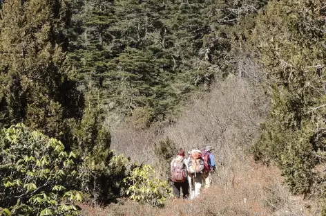 Sur le sentier  - Bhoutan