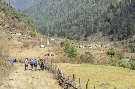 Départ du Trek  - Bhoutan