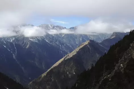 Montée vers le Thonle La  - Bhoutan