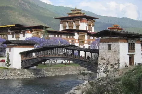 Punakha - Bhoutan