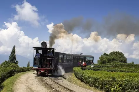 Darjeeling, le fameux Toy Train