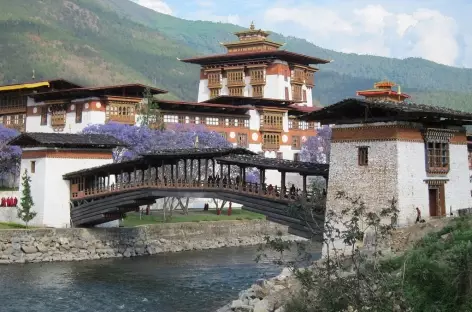 Le magnifique dzong de Punakha - Bhoutan