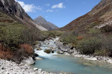 Descente vers Maorothang - Bhoutan