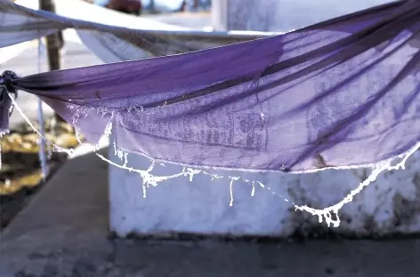 Drapeaux de prière pris dans le givre - Bhoutan