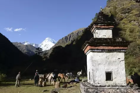 Caravane de chevaux sous le Jomolhari - Bhoutan