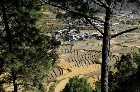 Depuis les hauteurs de la vallée de Paro - Bhoutan