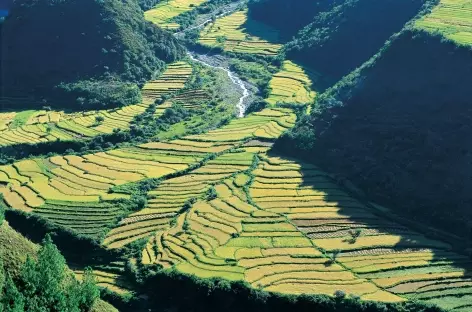 Rizières sur la route de Trashigang - Bhoutan