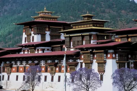 Dzong de Punakha - Bhoutan - 