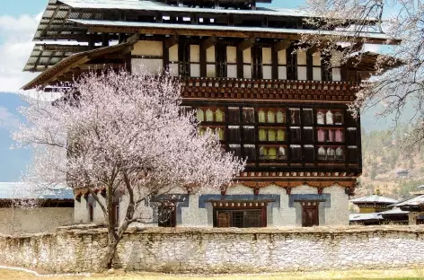 Maison seigneuriale de Ogyenchöling - Bhoutan