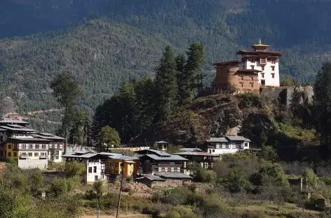 Drukyel dzong, au fond de la vallée de Paro - Bhoutan