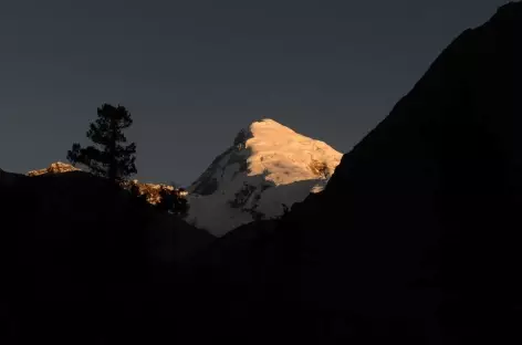 Lever de soleil sur le Jomolhari depuis Thangthanka - Bhoutan