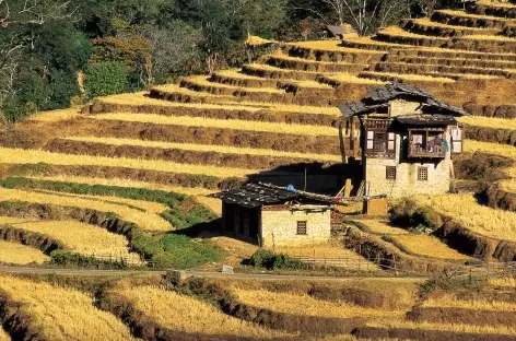 Paysage à Lingmithang - Bhoutan