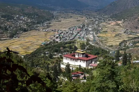 Vallée de Paro avec le dzong - Bhoutan
