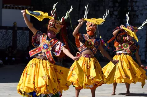 Festival religieux - Danse du cerf - Bhoutan
