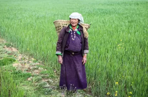 Travaux des champs Bhoutan