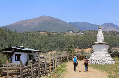 Vallée de Phobjika-Bhoutan