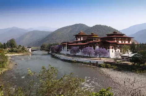 Dzong de Punakha-Bhoutan
