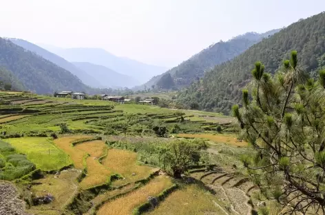 De Punakha à Nyezergang-Bhoutan