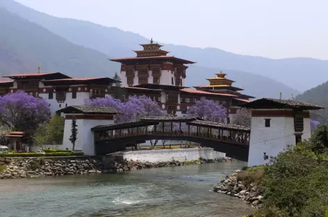 Dzong de Punakha-Bhoutan