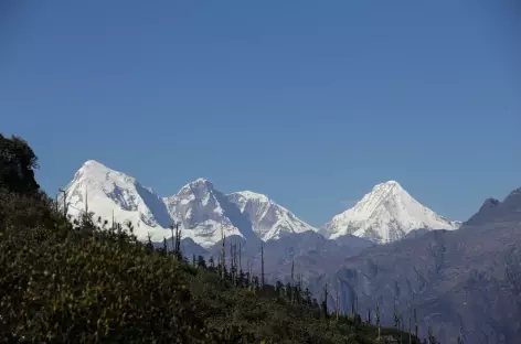  Le Jomolhari à gauche (7316 m) et leJichu Drake à droite (6990 ) depuis le Chele la)