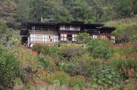 Maison traditionnelle Punakha