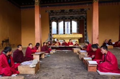 Ecole pour les jeunes moines à Gangtey 