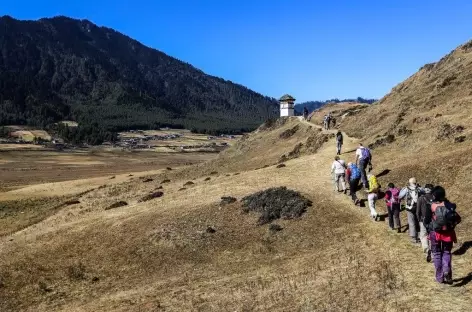 Phobjika Vallée de Gangtey 