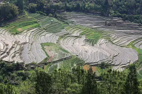 De Punakha à Nyezergang