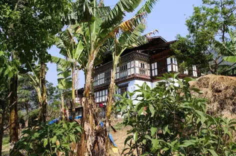 De Punakha à Nyezergang
