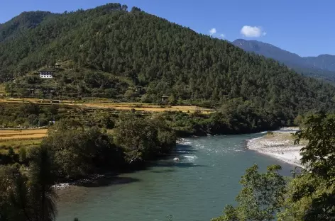 Vallée de Punakha