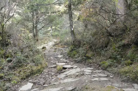 Montée vers Jele Dzong