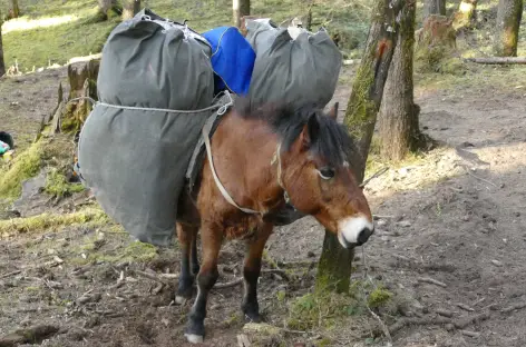 Transporteur local