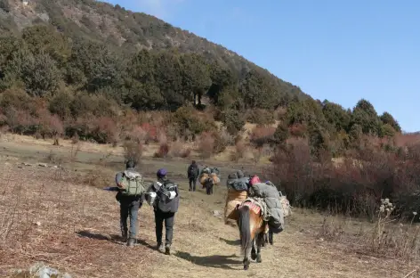 Notre équipe de trekking