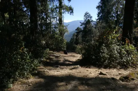 Descente vers Thimphu