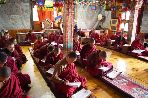 Moines à l'étude, Thimphu, Bhoutan
