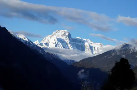 Le Kangbum (6500 m) dominant Gasa, Bhoutan