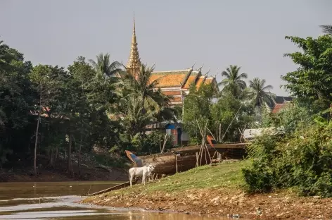 Navigation sur la rivière Sangker - Cambodge