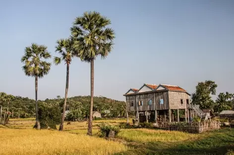 Paysage symbole de la campagne cambodgienne - Cambodge