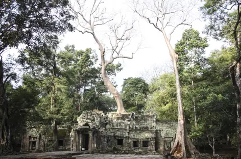 Beng Melea - Cambodge