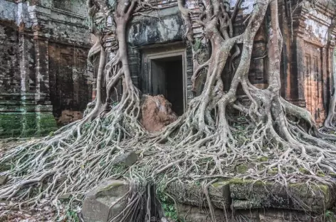 Koh Ker - Cambodge