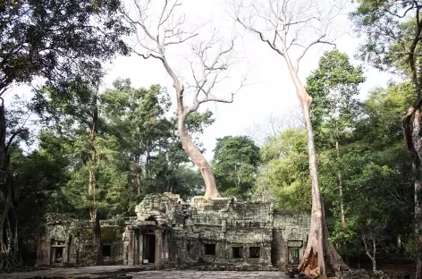 Beng Melea - Cambodge