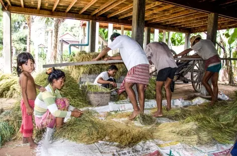 Scène de vie dans les campagnes - Cambodge