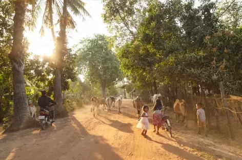 Campagne khmère (3) - Cambodge - 
