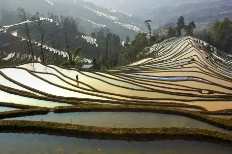 Rizières de Yuanyang - Yunnan, Chine
