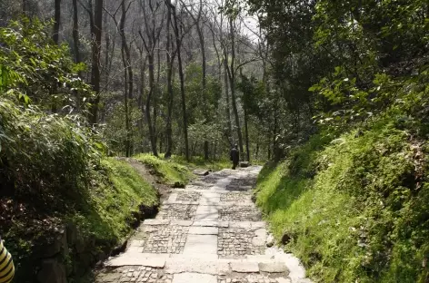 Randonnée au dessus de Hangzhou - Chine