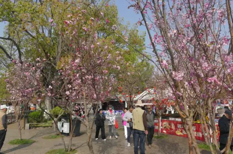Parc Emeraude - Kunming