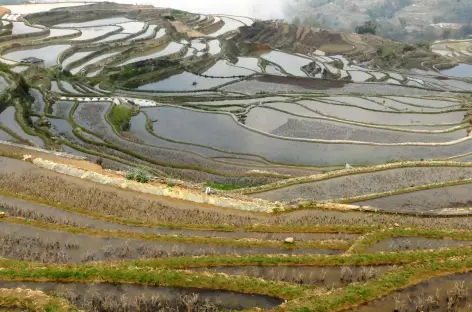 Rizières de Yuan Yang