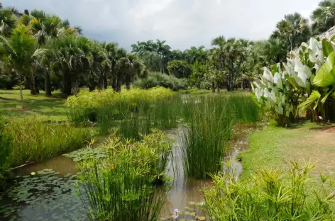 Jardin tropical de Menglun