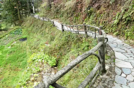 Sentier au-dessus de Langde